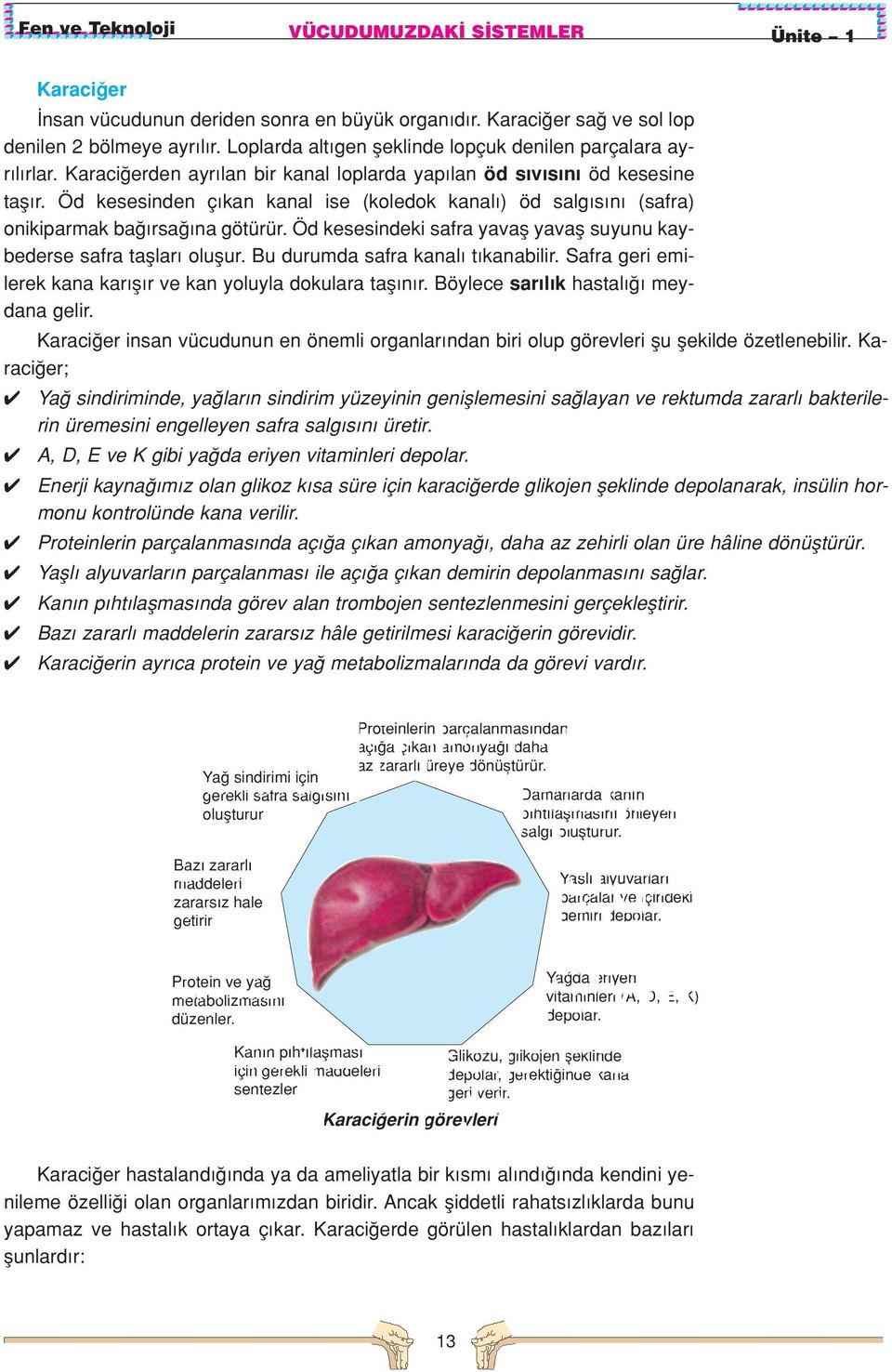 Öd kesesinden ç kan kanal ise (koledok kanal ) öd salg s n (safra) onikiparmak ba rsa na götürür. Öd kesesindeki safra yavafl yavafl suyunu kaybederse safra tafllar oluflur.