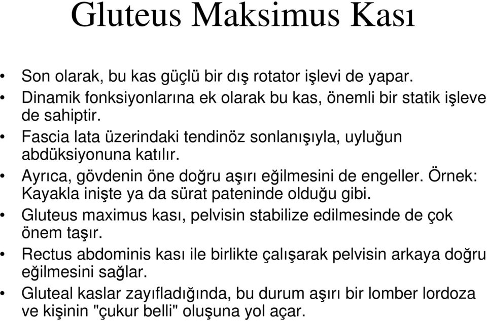 Fascia lata üzerindaki tendinöz sonlanışıyla, uyluğun abdüksiyonuna katılır. Ayrıca, gövdenin öne doğru aşırı eğilmesini de engeller.