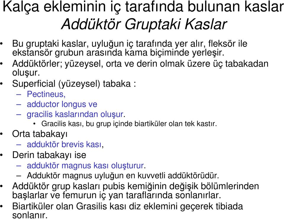 Gracilis kası, bu grup içinde biartiküler olan tek kastır. Orta tabakayı adduktör brevis kası, Derin tabakayı ise adduktör magnus kası oluşturur.