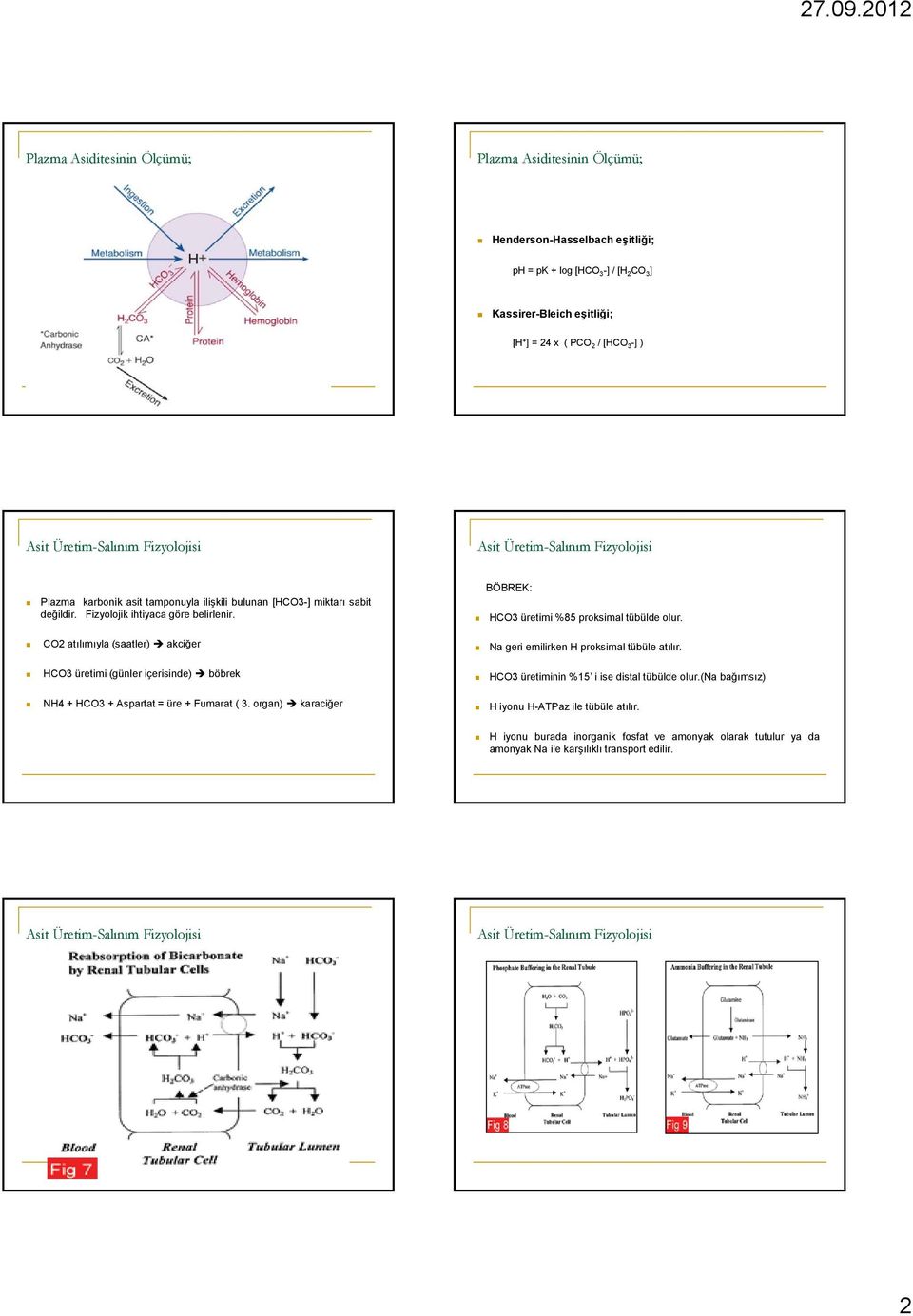 CO2 atılımıyla (saatler) akciğer HCO3 üretimi (günler içerisinde) böbrek NH4 + HCO3 + Aspartat = üre + Fumarat ( 3. organ) karaciğer BÖBREK: HCO3 üretimi %85 proksimal tübülde olur.