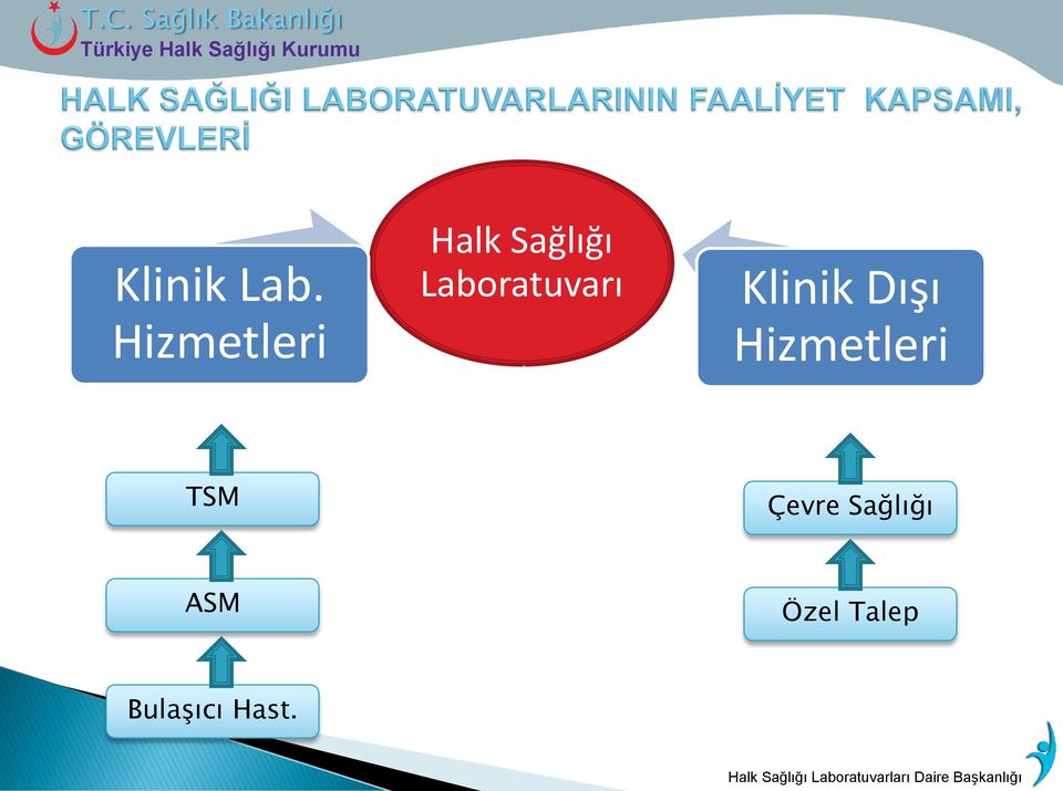 Laboratuvarı Klinik Dışı