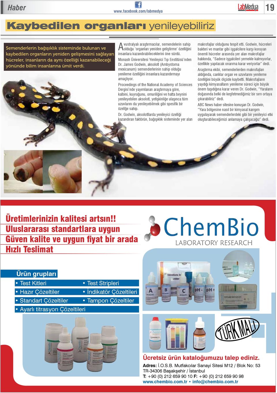 Monash Üniversitesi Yenileyici Tıp Enstitüsü nden Dr. James Godwin, aksolotl (Ambystoma mexicanum) semenderlerinin sahip olduğu yenileme özelliğini insanlara kazandırmayı amaçlıyor.