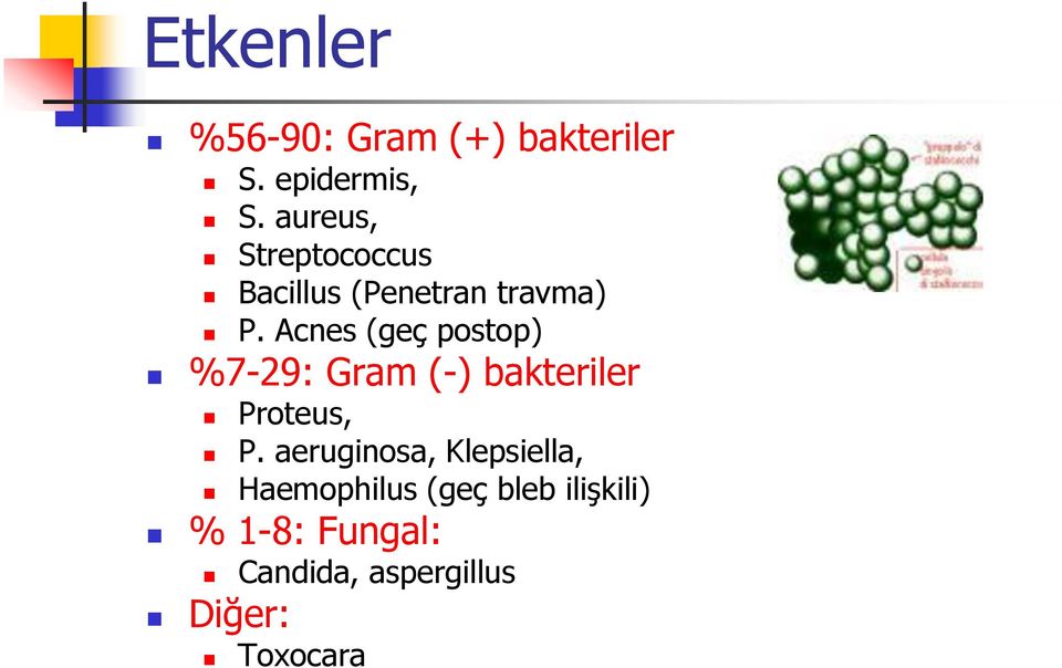 Acnes (geç postop) %7-29: Gram (-) bakteriler Proteus, P.