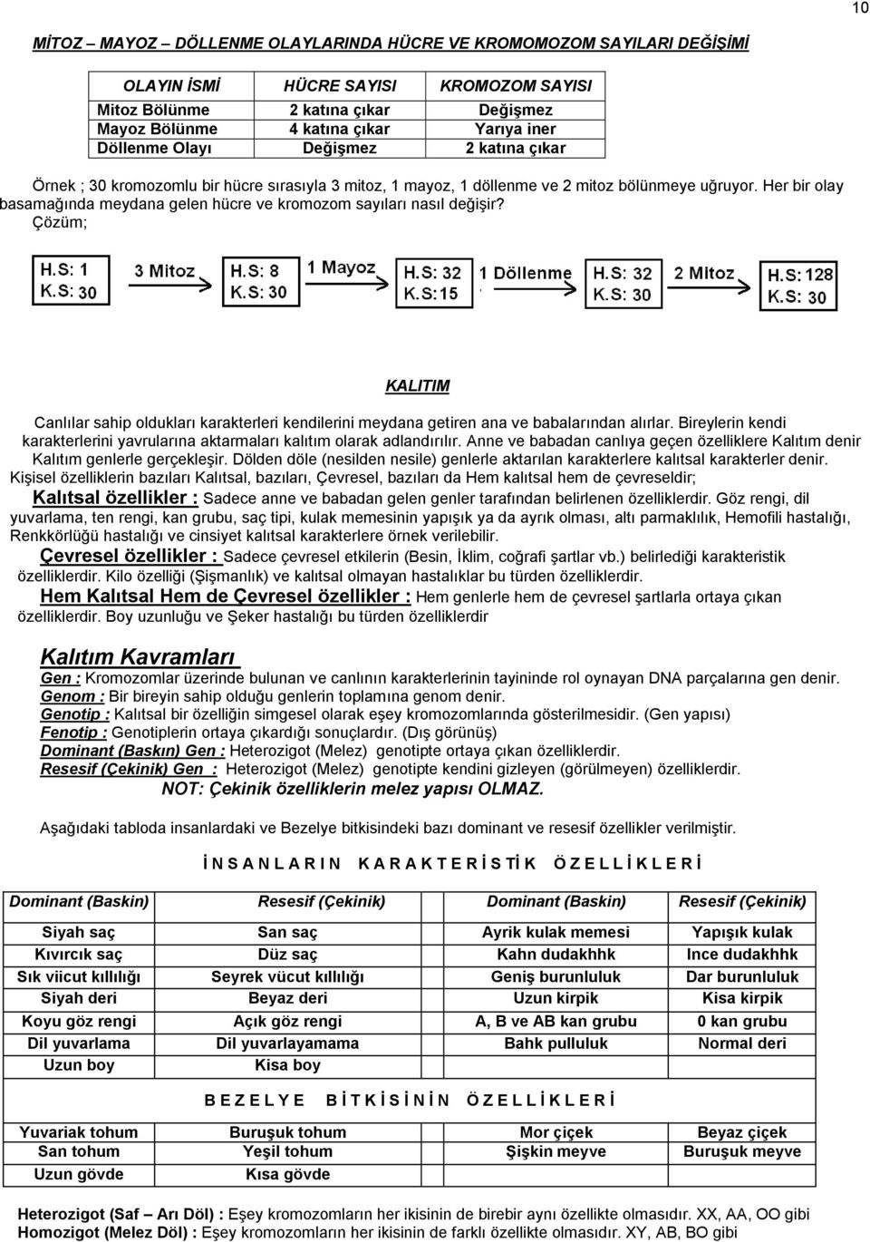 Her bir olay basamağında meydana gelen hücre ve kromozom sayıları nasıl değiģir? Çözüm; KALITIM Canlılar sahip oldukları karakterleri kendilerini meydana getiren ana ve babalarından alırlar.