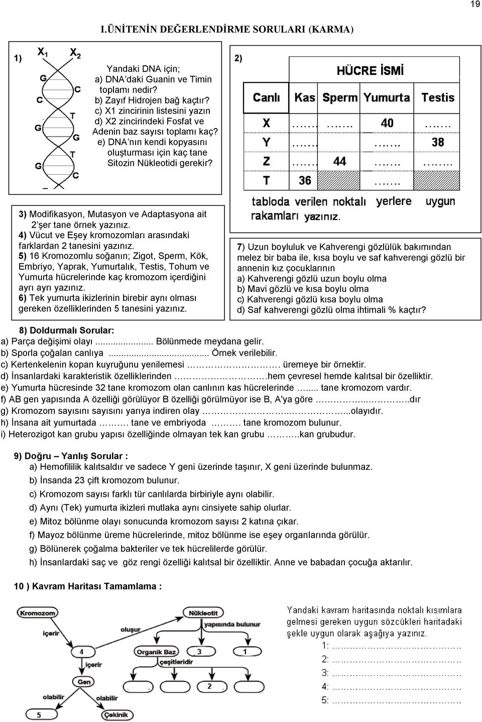 3) Modifikasyon, Mutasyon ve Adaptasyona ait 2 Ģer tane örnek yazınız. 4) Vücut ve EĢey kromozomları arasındaki farklardan 2 tanesini yazınız.