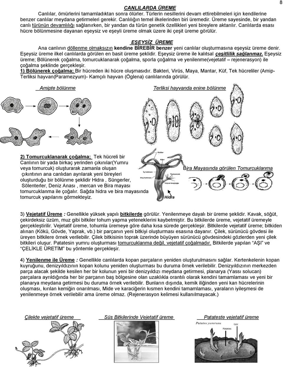 Canlılarda esası hücre bölünmesine dayanan eģeysiz ve eģeyli üreme olmak üzere iki çeģit üreme görülür.