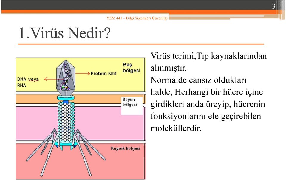 Normalde cansız oldukları halde, Herhangi bir