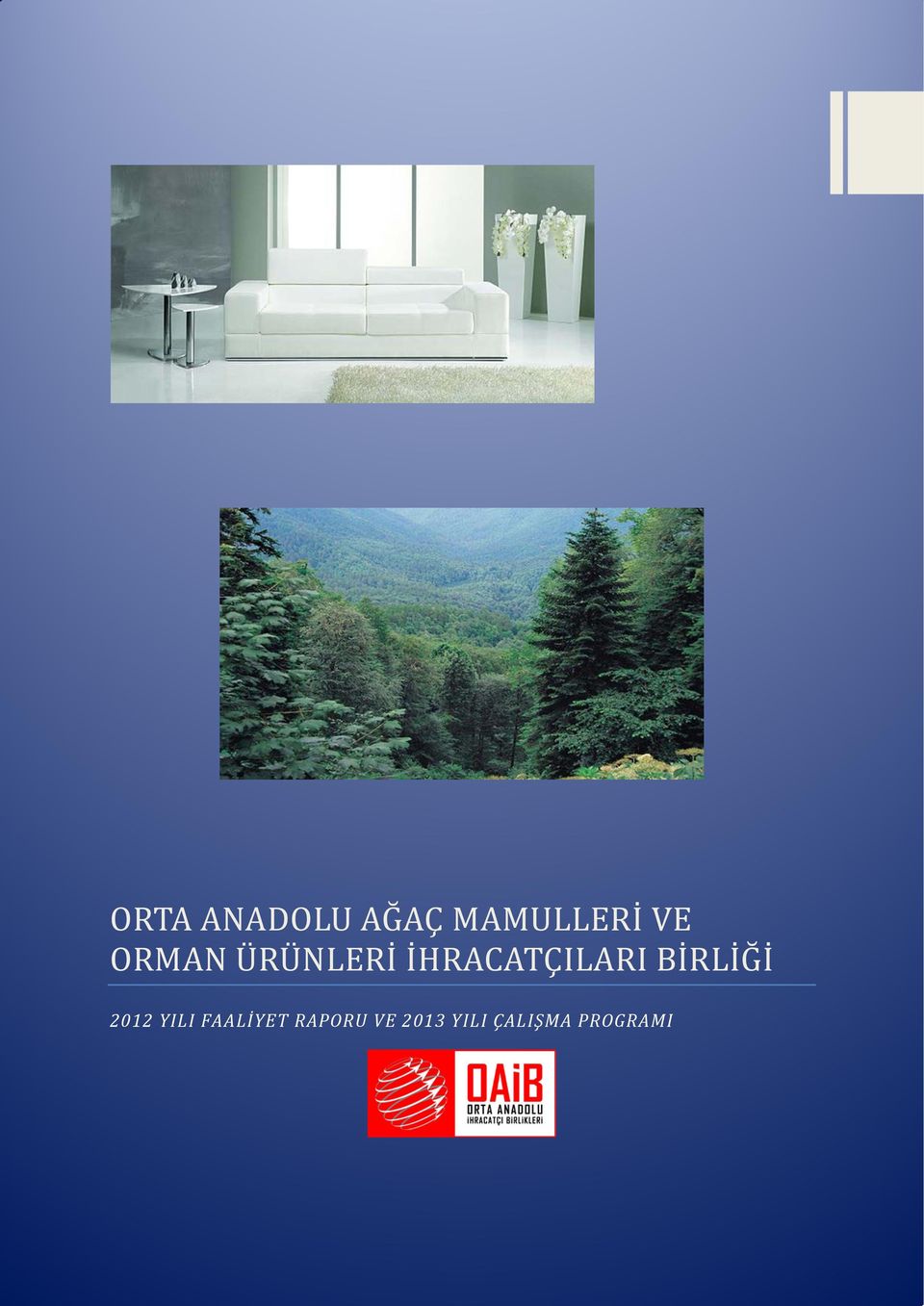 BIİRLIİGĞ Iİ 2012 YILI FAALİYET