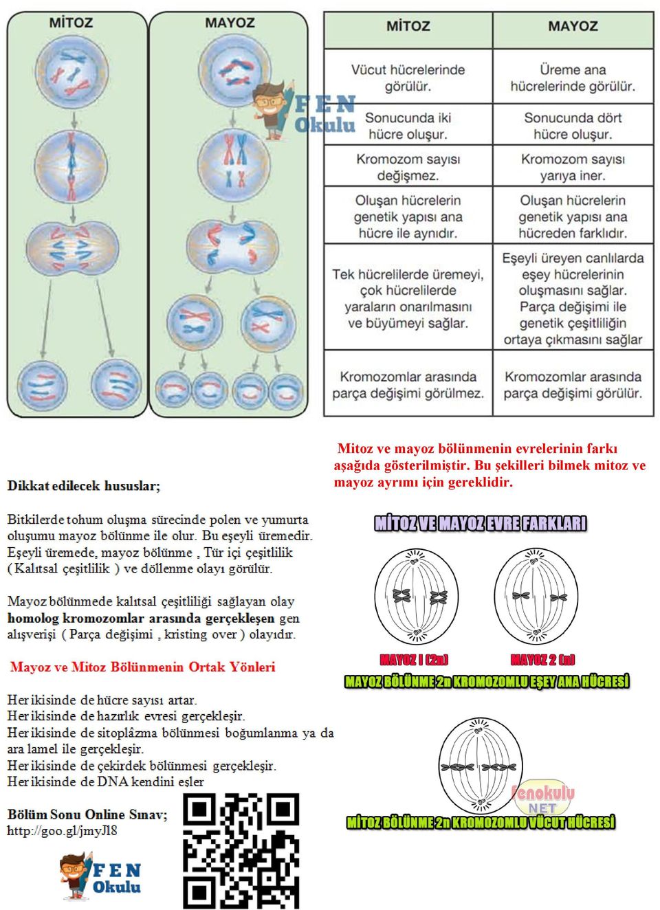 gösterilmiştir.