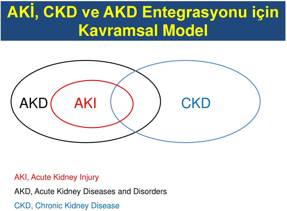 Kidney Injury AKD, Acute Kidney