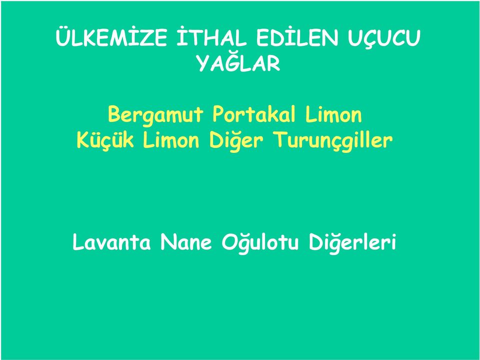 Limon Küçük Limon Diğer