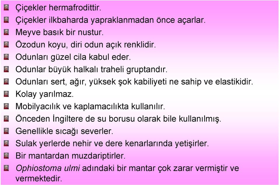 Kolay yarılmaz. Mobilyacılık ve kaplamacılıkta kullanılır. Önceden İngiltere de su borusu olarak bile kullanılmış. Genellikle sıcağı severler.