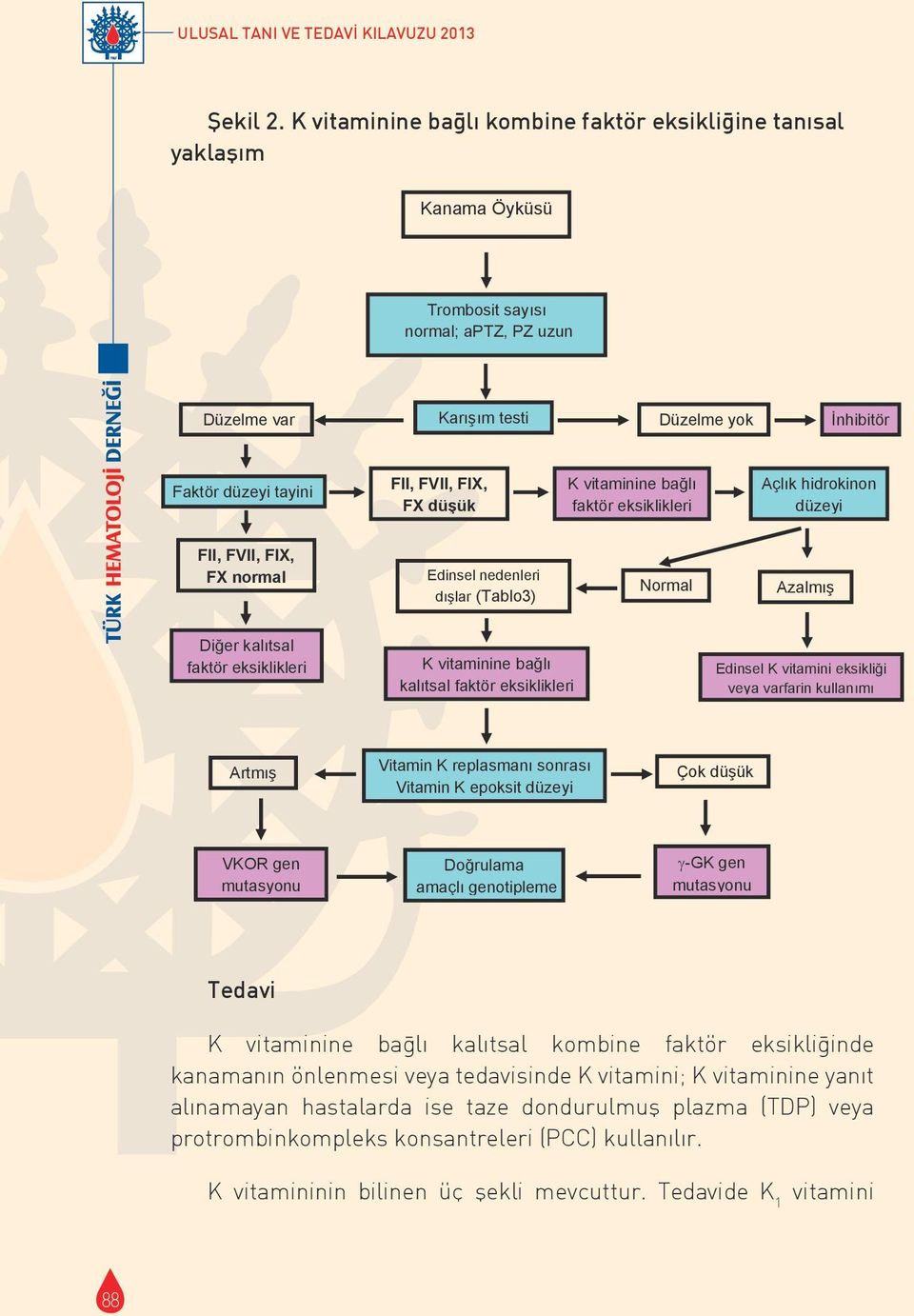 K vitaminine bağlı kombine faktör eksikliğine tanısal yaklaşım Kanama Öyküsü Trombosit say s normal; aptz, PZ uzun Düzelme var Kar ş m testi Düzelme yok İnhibitör Faktör düzeyi tayini FII, FVII, FIX,