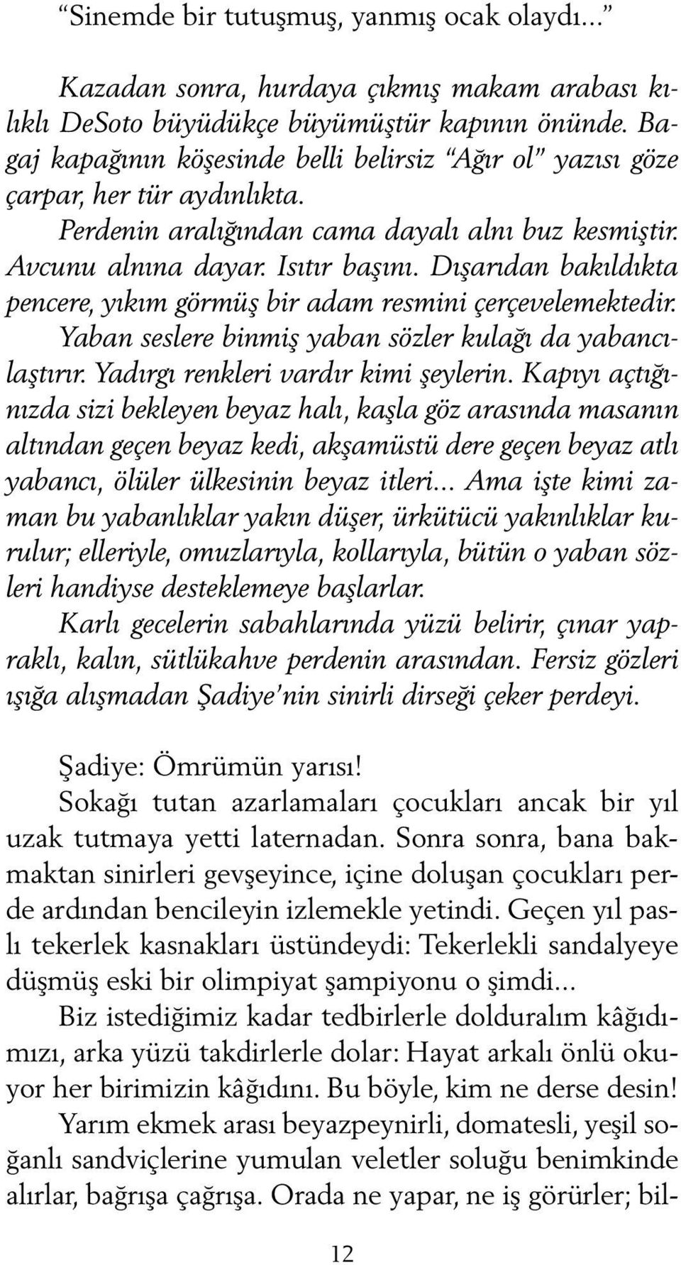 Dışarıdan bakıldıkta pencere, yıkım görmüş bir adam resmini çerçevelemektedir. Yaban seslere binmiş yaban sözler kulağı da yabancılaştırır. Yadırgı renkleri vardır kimi şeylerin.