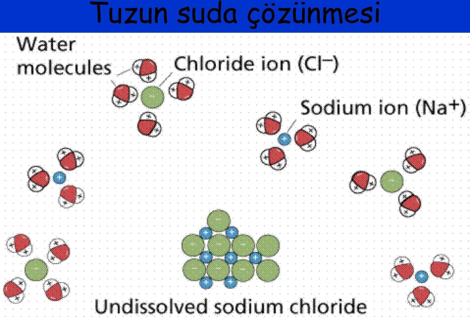 çözünmesi