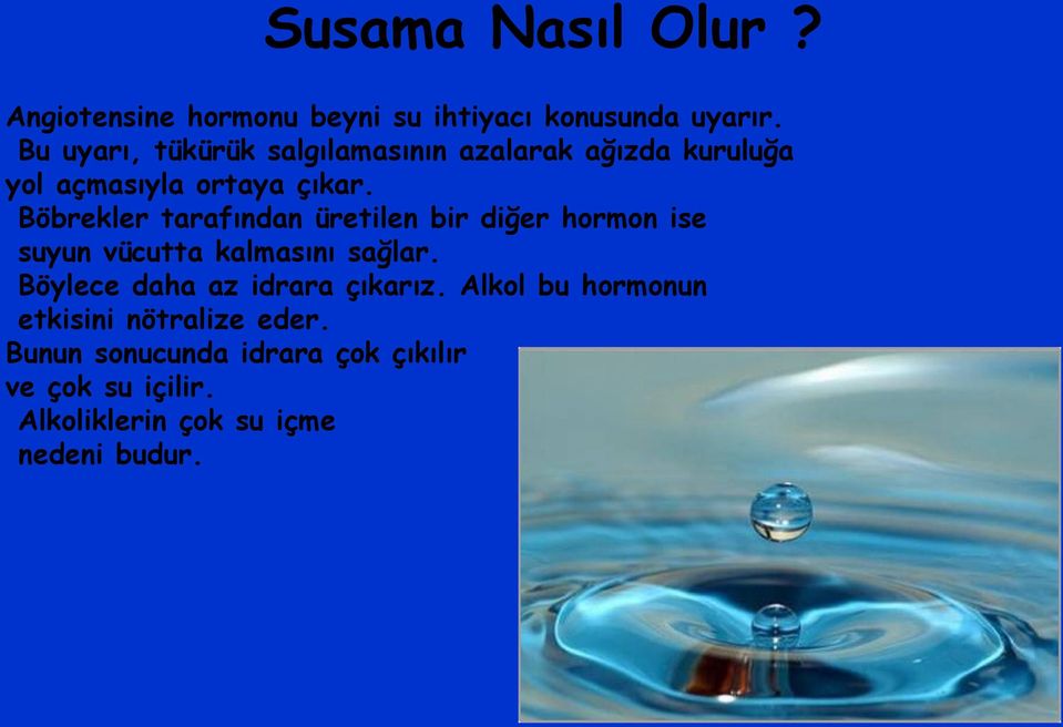 Böbrekler tarafından üretilen bir diğer hormon ise suyun vücutta kalmasını sağlar.