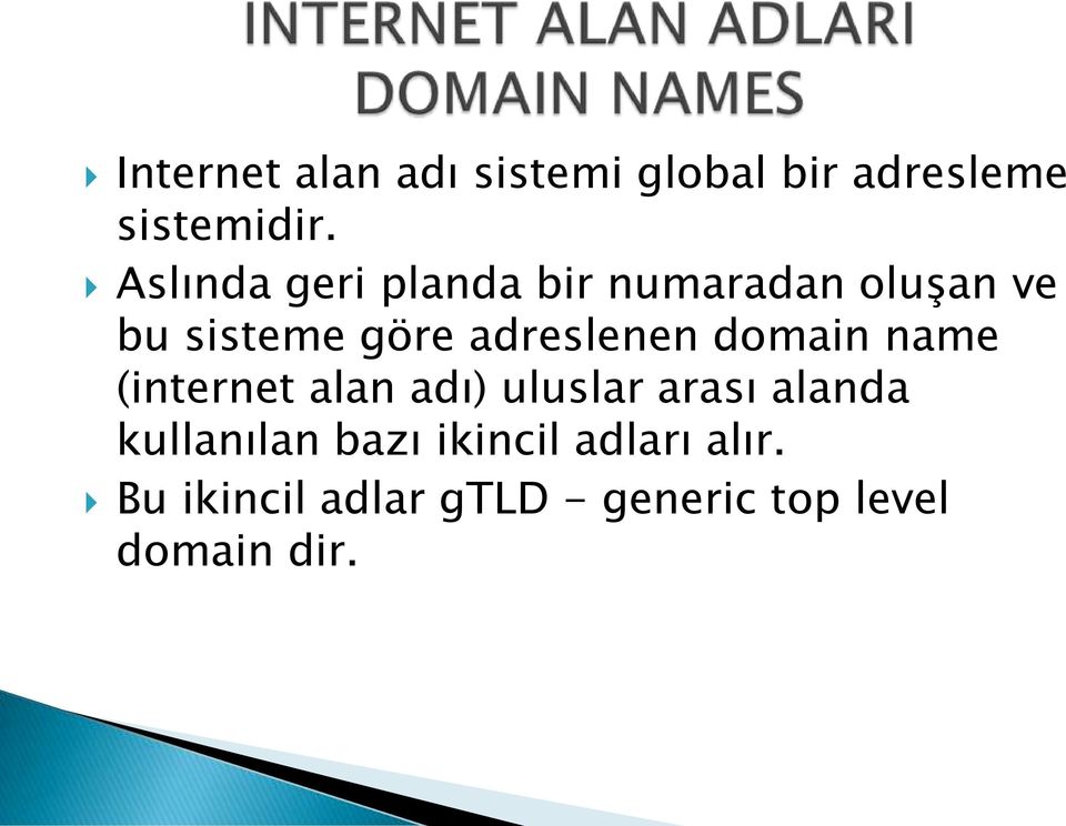 adreslenen domain name (internet alan adı) uluslar arası alanda