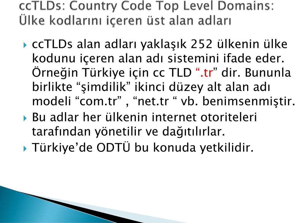 Bununla birlikte şimdilik ikinci düzey alt alan adı modeli com.tr, net.tr vb.