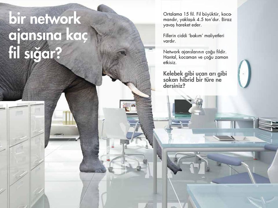 Fillerin ciddi bakım maliyetleri vardır. Network ajanslarının çoğu fildir.