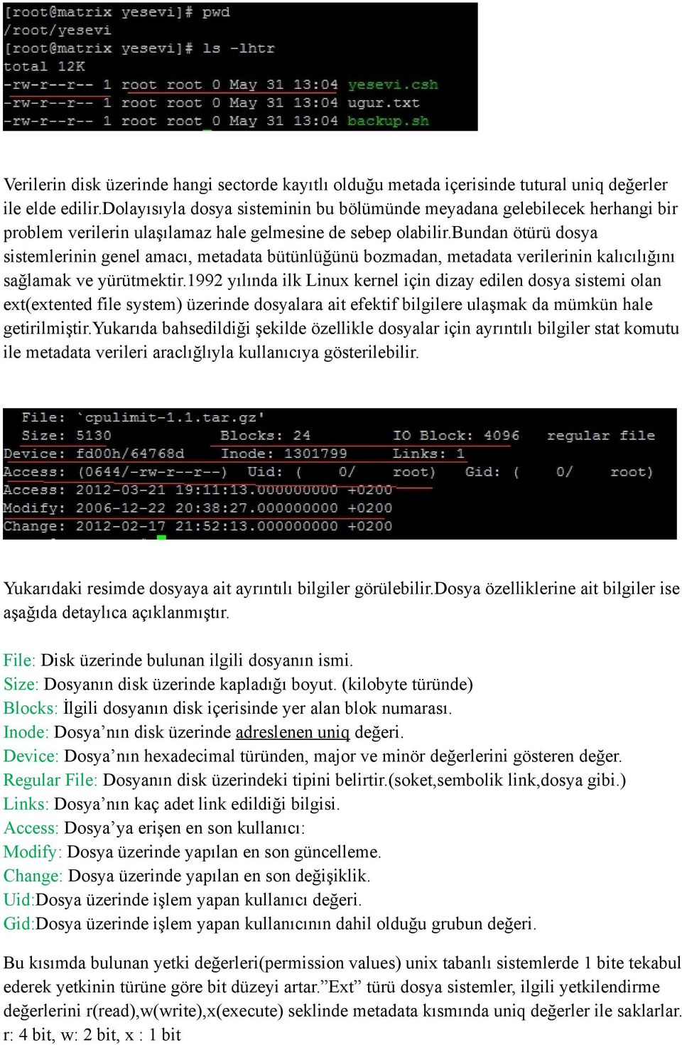 bundan ötürü dosya sistemlerinin genel amacı, metadata bütünlüğünü bozmadan, metadata verilerinin kalıcılığını sağlamak ve yürütmektir.