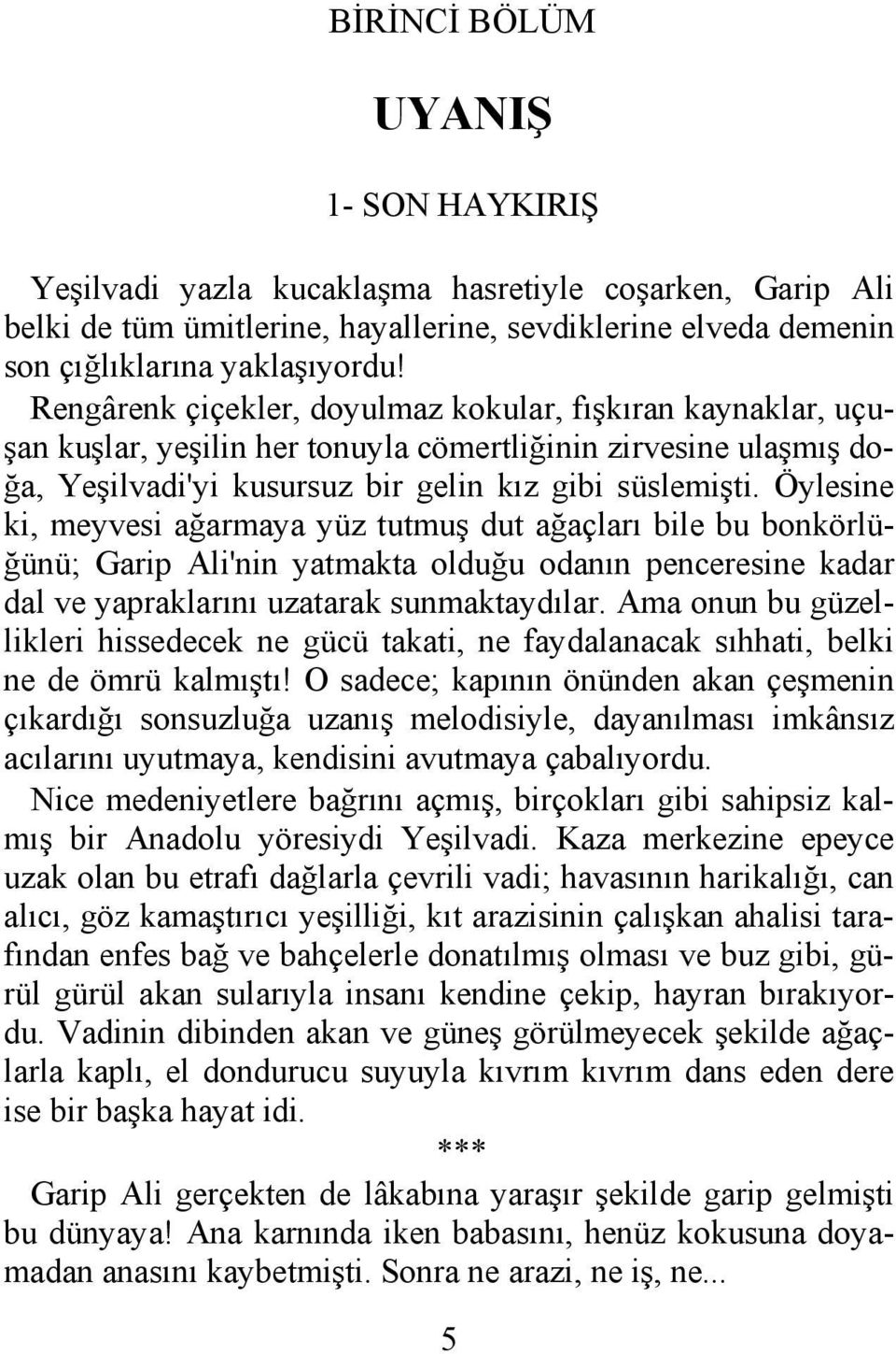 Öylesine ki, meyvesi ağarmaya yüz tutmuş dut ağaçları bile bu bonkörlüğünü; Garip Ali'nin yatmakta olduğu odanın penceresine kadar dal ve yapraklarını uzatarak sunmaktaydılar.