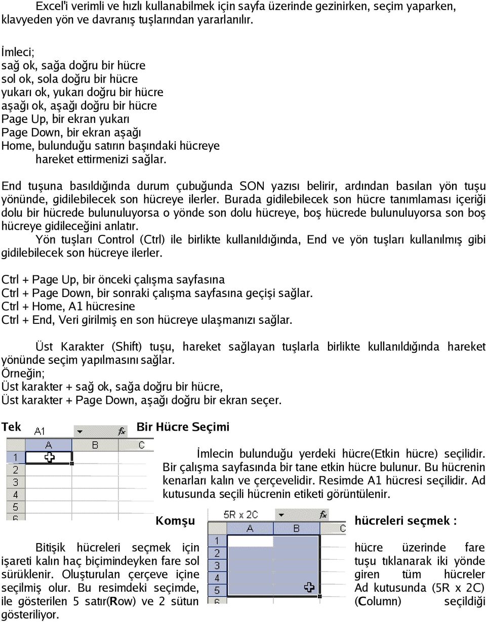 bulunduğu satırın başındaki hücreye hareket ettirmenizi sağlar. End tuşuna basıldığında durum çubuğunda SON yazısı belirir, ardından basılan yön tuşu yönünde, gidilebilecek son hücreye ilerler.