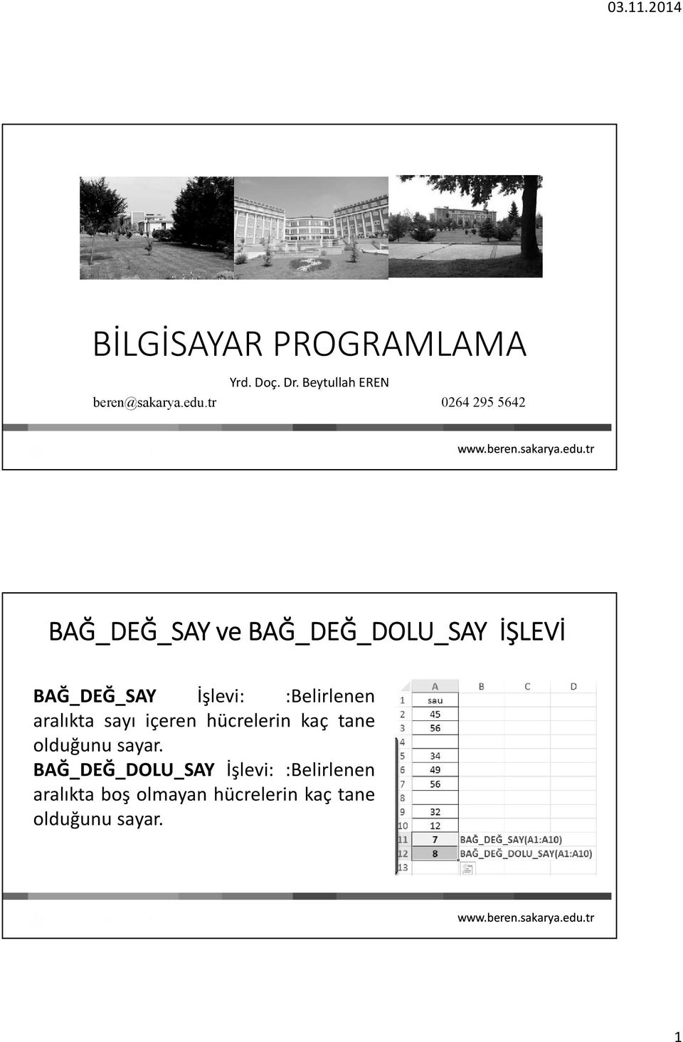 :Belirlenen aralıkta sayı içeren hücrelerin kaç tane olduğunu sayar.