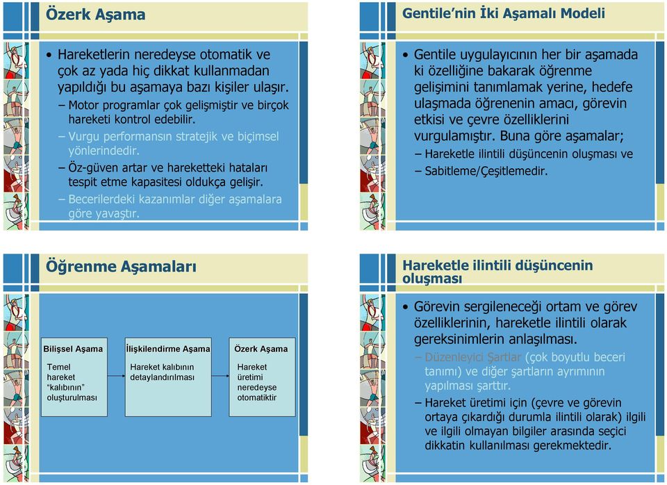 Öz-güven artar ve hareketteki hataları tespit etme kapasitesi oldukça gelişir. Becerilerdeki kazanımlar diğer aşamalara göre yavaştır.