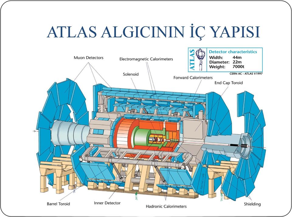 İÇ YAPISI