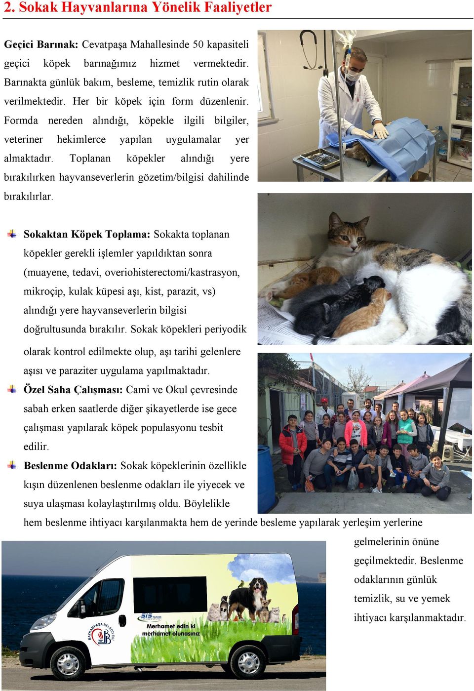 Formda nereden alındığı, köpekle ilgili bilgiler, veteriner hekimlerce yapılan uygulamalar yer almaktadır.