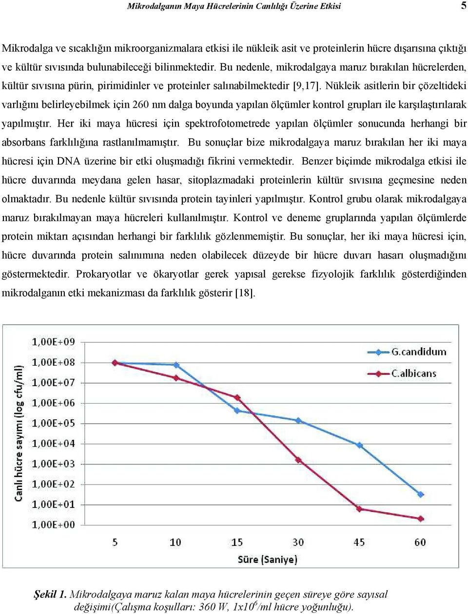 Nükleik asitlerin bir çözeltideki varl n belirleyebilmek için 260 nm dalga boyunda yap lan ölçümler kontrol gruplar ile kar la t r larak yap lm t r.