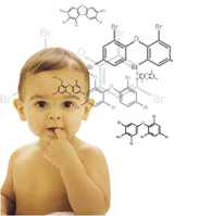 Hg(CH3) Nonylphenol (from detergents and agrichemical polymers) Polybrominated diiphenylethers (e.g.