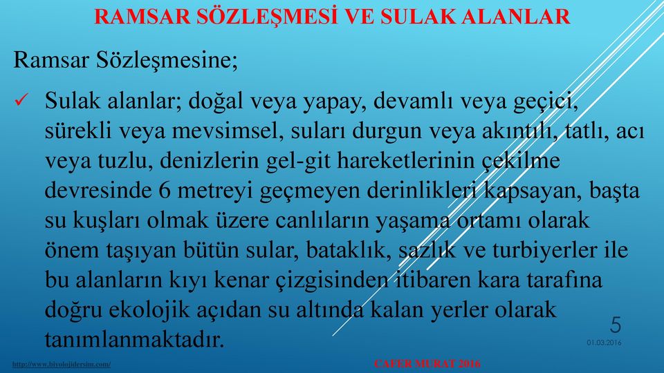 derinlikleri kapsayan, başta su kuşları olmak üzere canlıların yaşama ortamı olarak önem taşıyan bütün sular, bataklık, sazlık ve