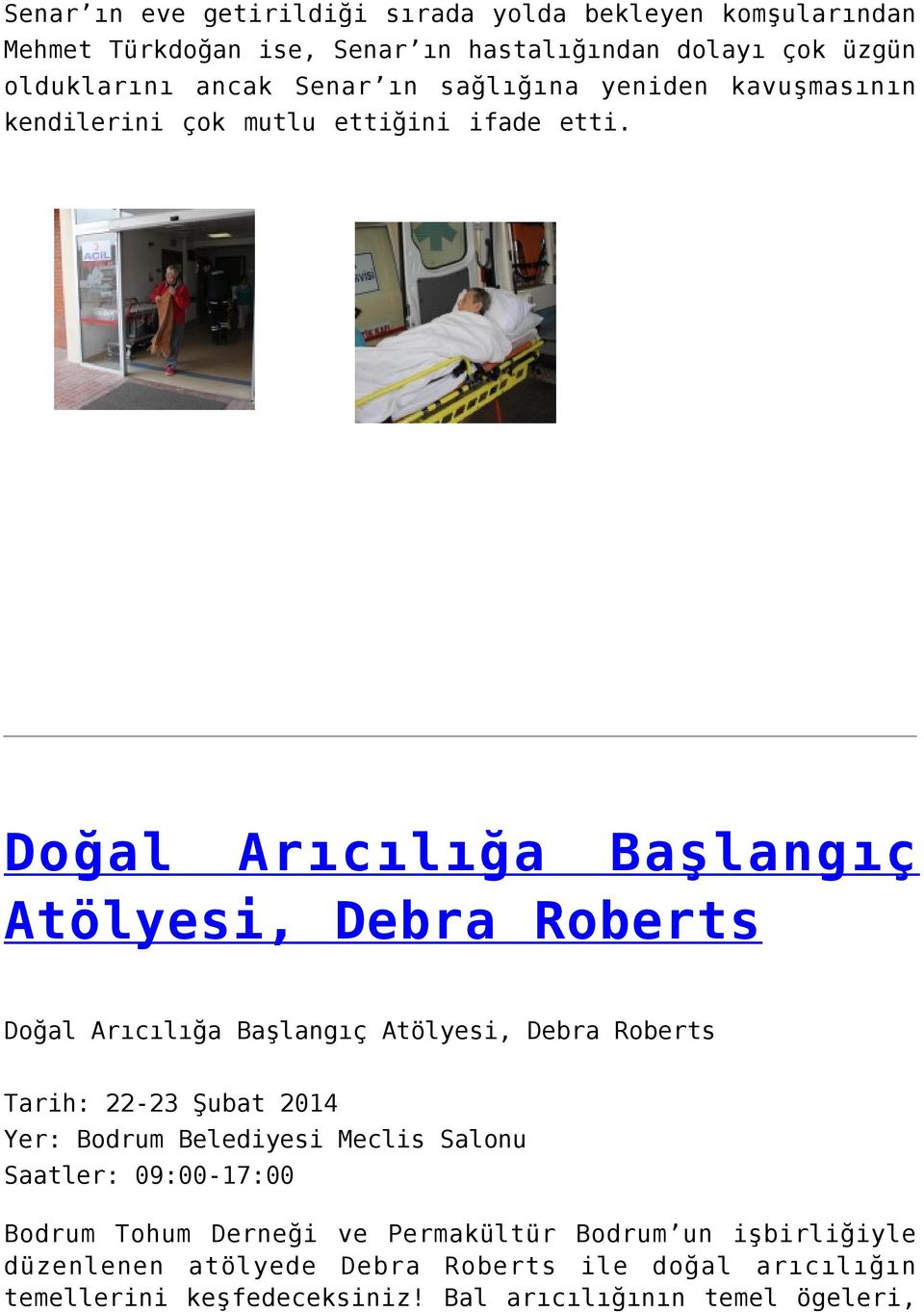 Doğal Arıcılığa Başlangıç Atölyesi, Debra Roberts Doğal Arıcılığa Başlangıç Atölyesi, Debra Roberts Tarih: 22-23 Şubat 2014 Yer: Bodrum