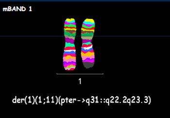 Multicolor banding with high