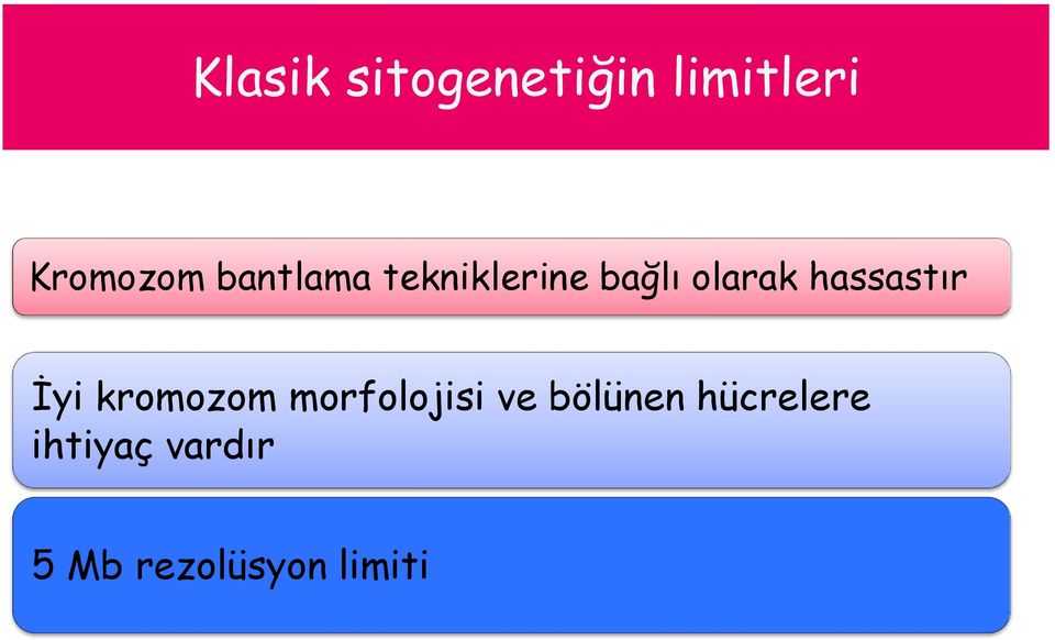 hassastır İyi kromozom morfolojisi ve