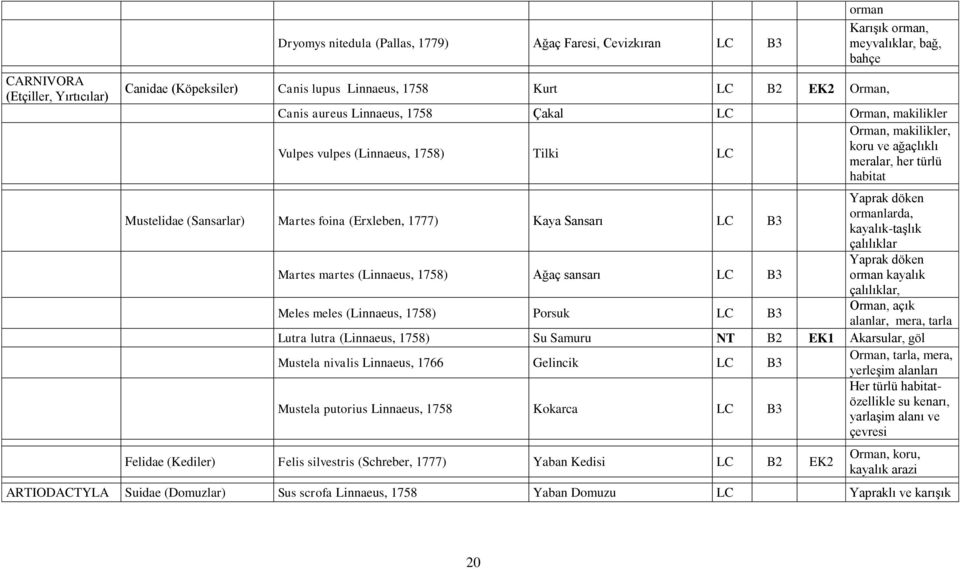 foina (Erxleben, 1777) Kaya Sansarı LC B3 Yaprak döken ormanlarda, kayalık-taşlık çalılıklar Martes martes (Linnaeus, 1758) Ağaç sansarı LC B3 Yaprak döken orman kayalık çalılıklar, Orman, açık Meles