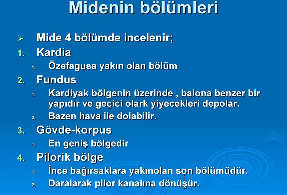 Kardiyak bölgenin üzerinde, balona benzer bir yapıdır ve geçici olark yiyecekleri