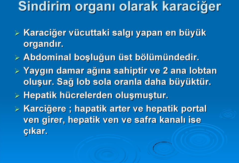 Yaygın damar ağına sahiptir ve 2 ana lobtan oluşur.