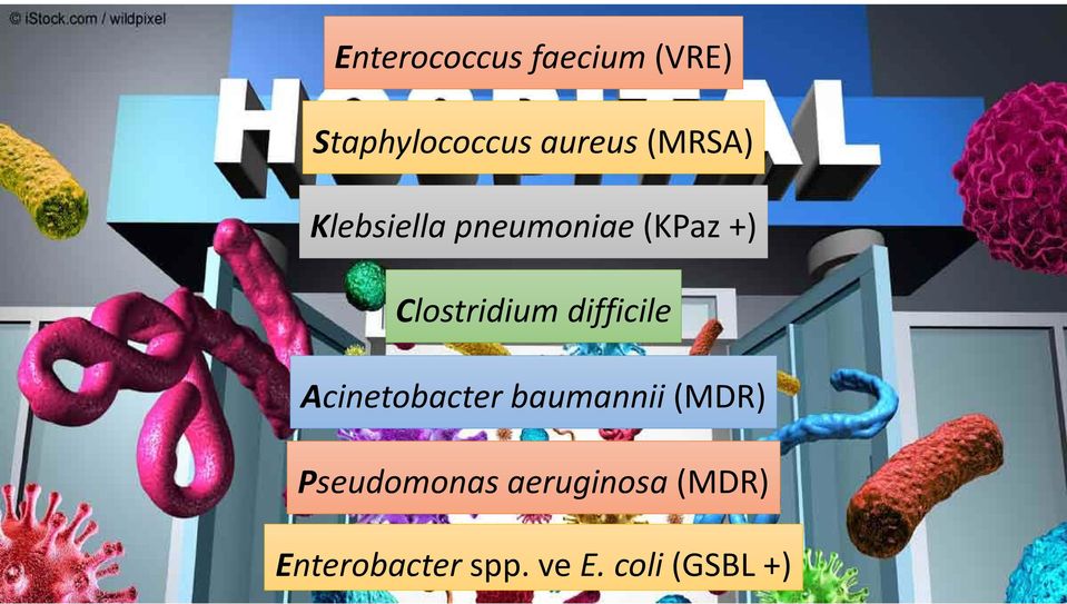 difficile Acinetobacter baumannii (MD) Pseudomonas