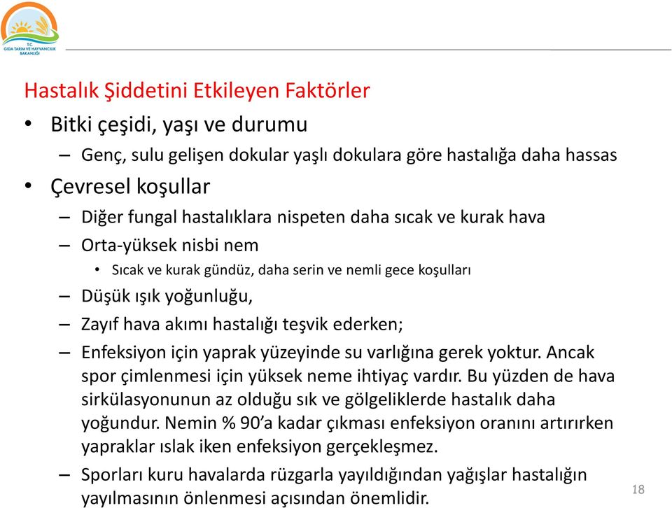 yüzeyinde su varlığına gerek yoktur. Ancak spor çimlenmesi için yüksek neme ihtiyaç vardır. Bu yüzden de hava sirkülasyonunun az olduğu sık ve gölgeliklerde hastalık daha yoğundur.