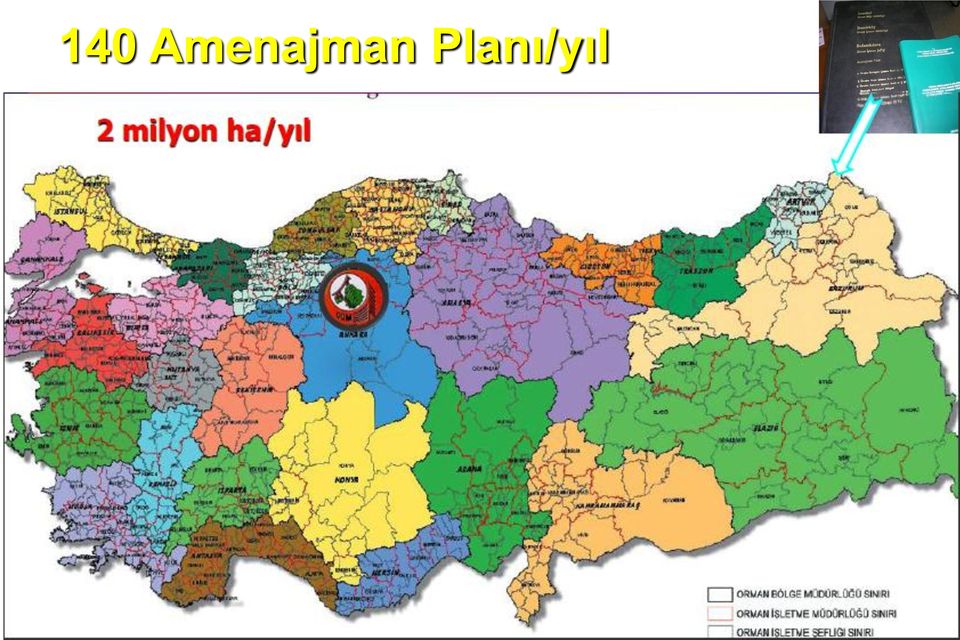 Planı/yıl