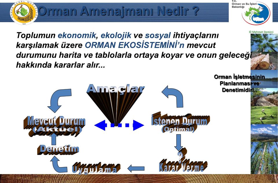 üzere ORMAN EKOSİSTEMİNİ n mevcut durumunu harita ve tablolarla