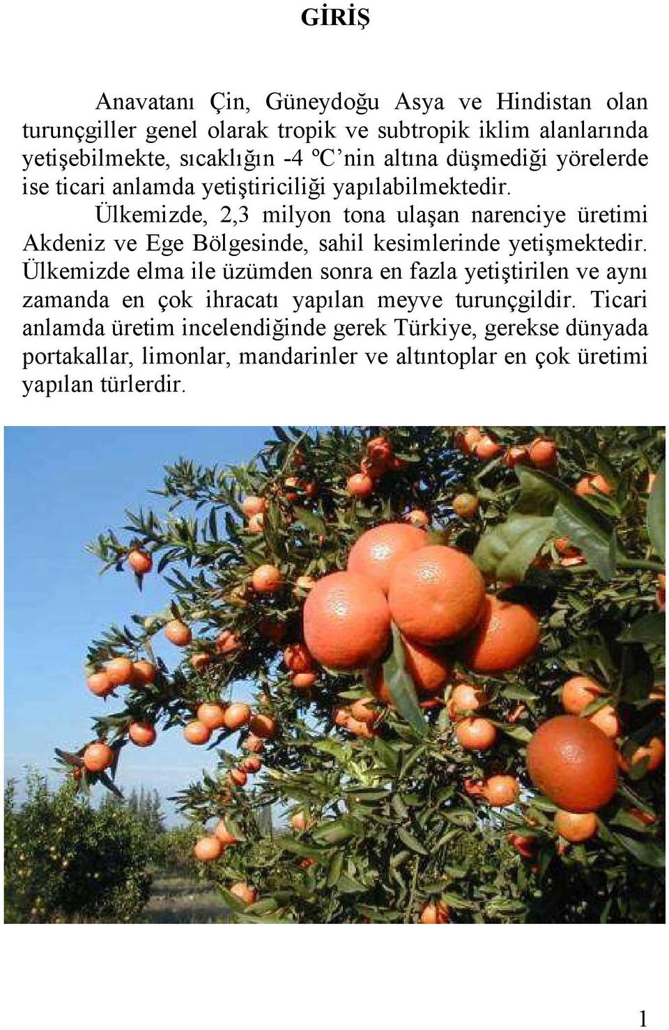 Ülkemizde, 2,3 milyon tona ulaģan narenciye üretimi Akdeniz ve Ege Bölgesinde, sahil kesimlerinde yetiģmektedir.