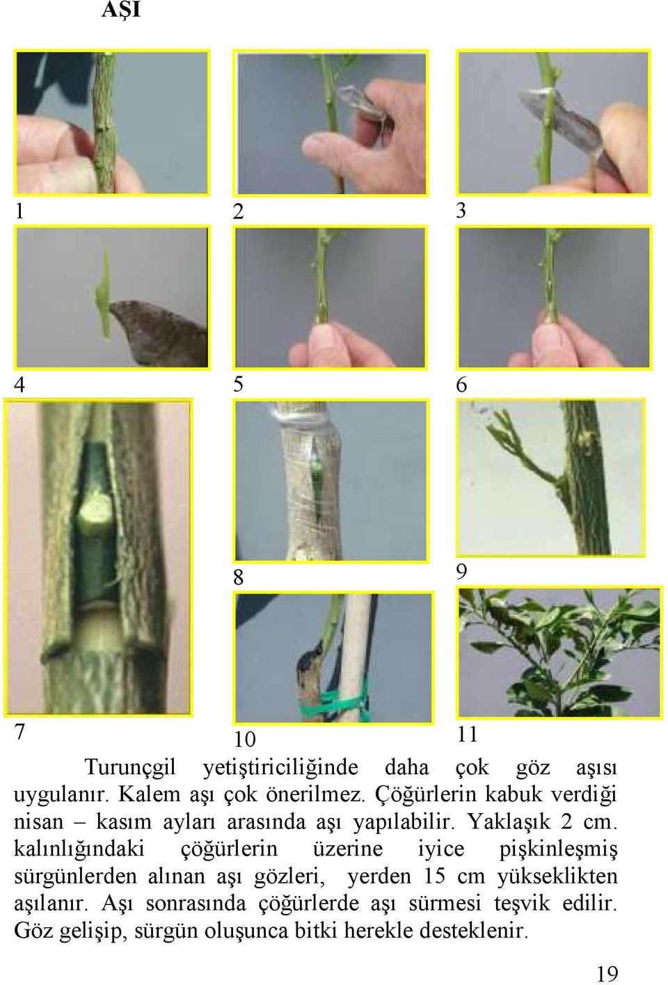 YaklaĢık 2 cm.