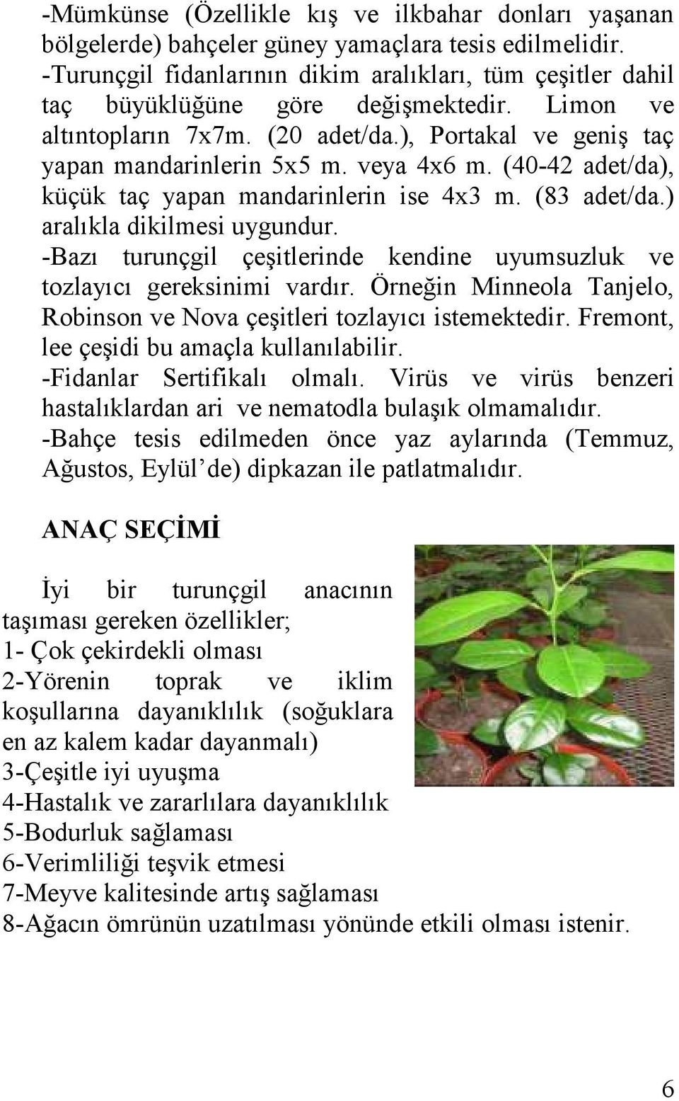 veya 4x6 m. (40-42 adet/da), küçük taç yapan mandarinlerin ise 4x3 m. (83 adet/da.) aralıkla dikilmesi uygundur. -Bazı turunçgil çeģitlerinde kendine uyumsuzluk ve tozlayıcı gereksinimi vardır.