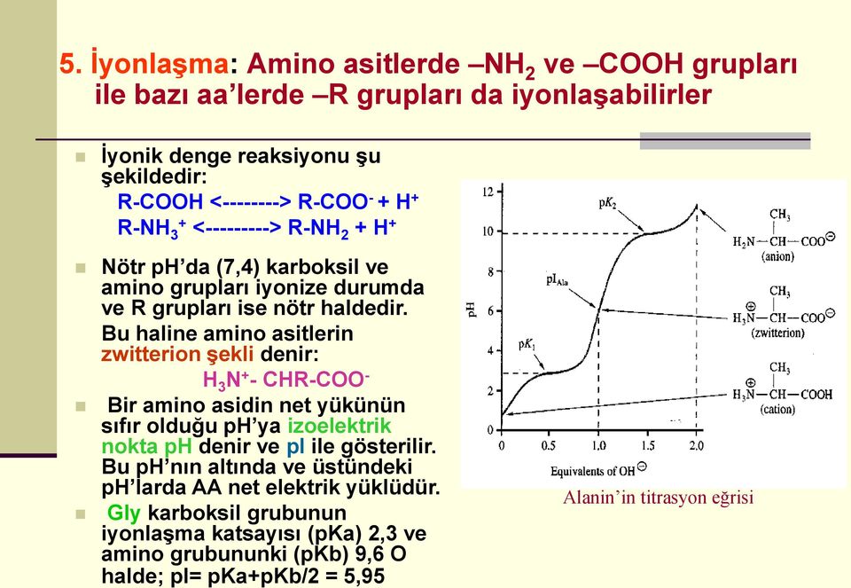 Bu haline amino asitlerin zwitterion şekli denir: H 3 N + - CHR-COO - Bir amino asidin net yükünün sıfır olduğu ph ya izoelektrik nokta ph denir ve pi ile gösterilir.