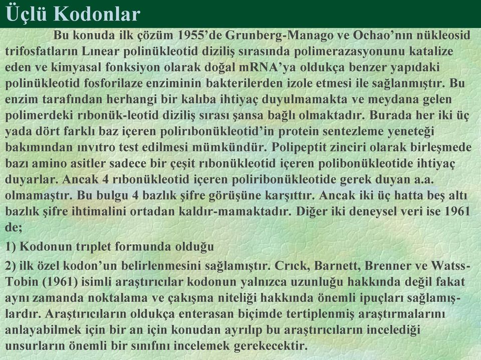 Bu enzim tarafından herhangi bir kalıba ihtiyaç duyulmamakta ve meydana gelen polimerdeki rıbonük-leotid diziliş sırası şansa bağlı olmaktadır.