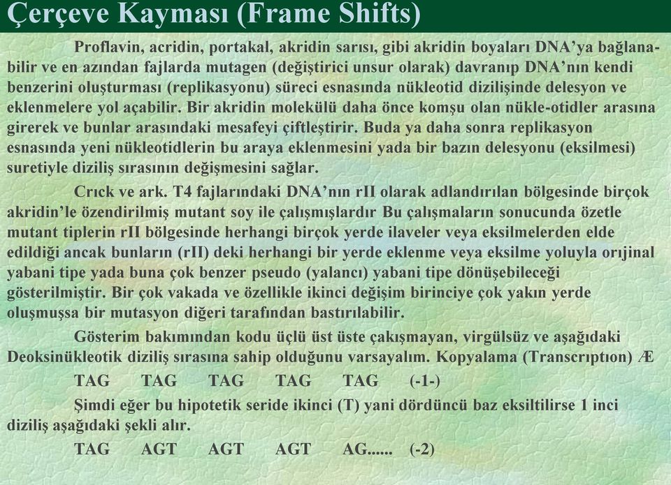 Bir akridin molekülü daha önce komşu olan nükle-otidler arasına girerek ve bunlar arasındaki mesafeyi çiftleştirir.