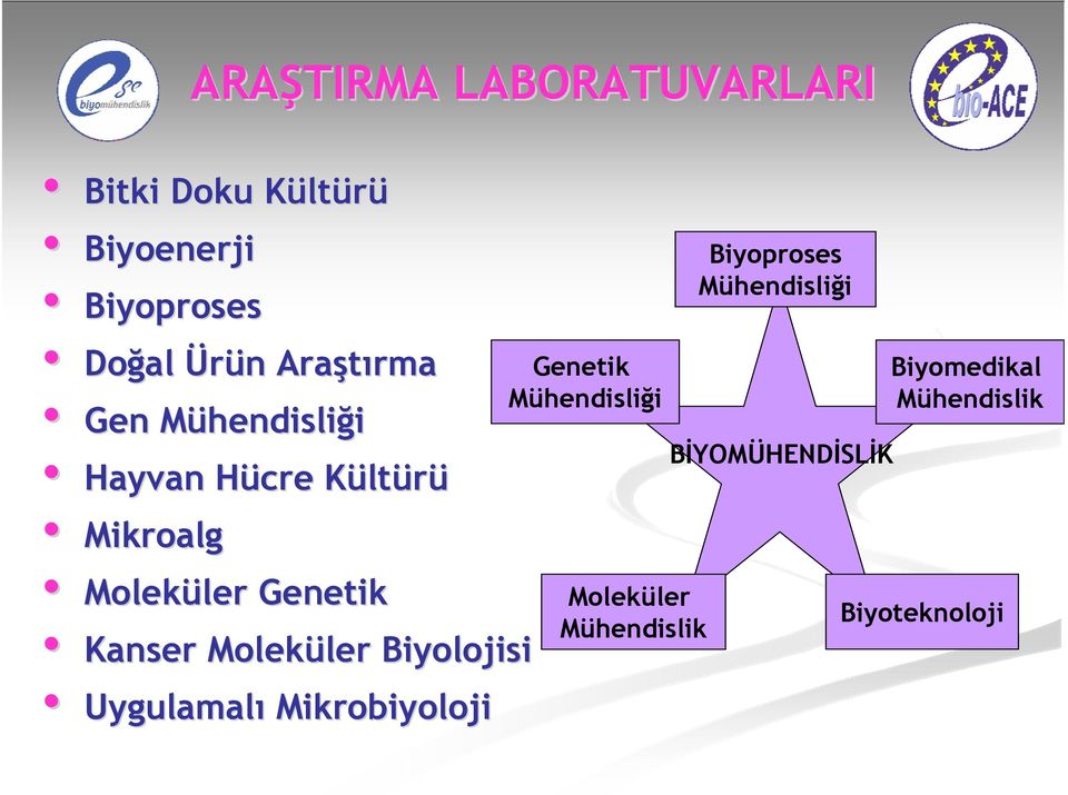 ler Genetik Kanser Moleküler ler Biyolojisi Uygulamalı Mikrobiyoloji Genetik Mühendisliği